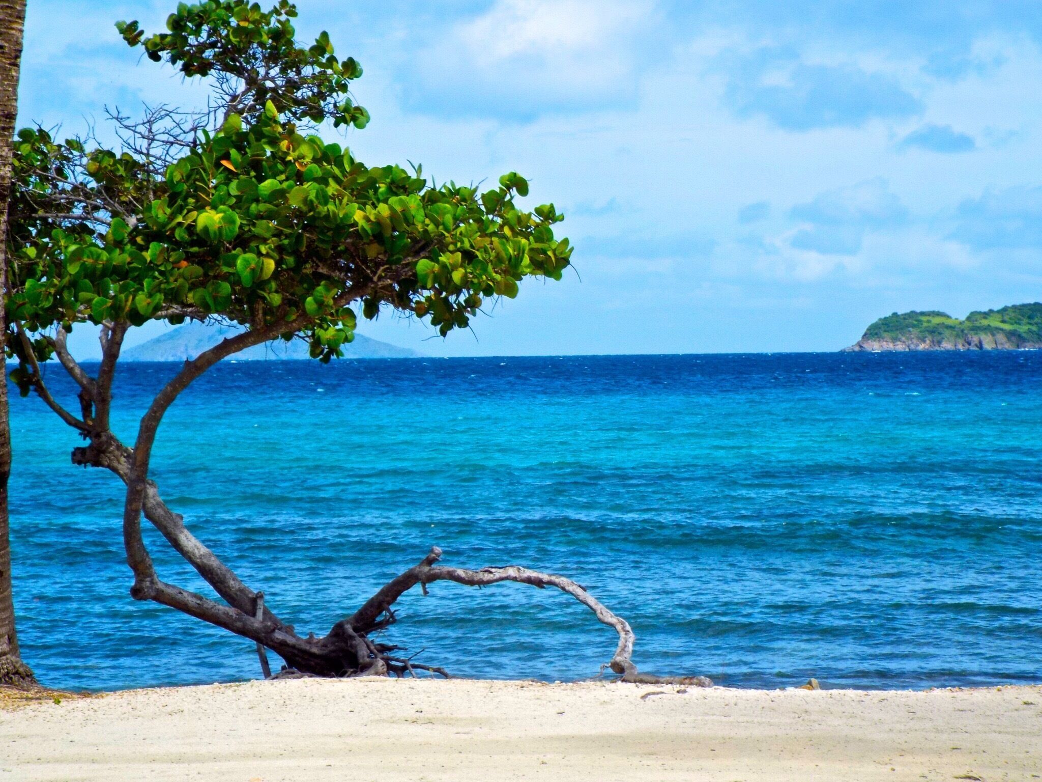 Our ten day wedding adventure in the USVI. Great place to stay. We were there the first week in Nov and only had two rainy days. The beaches were pristine, the waters great for snorkeling at Sapphire, and a great night life in nearby Red Hook! #waterlust #stthomas #usvi #tntdynamitewedding