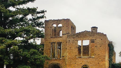 A stroll into the past, Barnsley Mansion ruins. Even in this state of “ruin”, still beautiful and meaningful: Here fortunes were made, babies born, wars fought and people perished. And so it goes....
#History