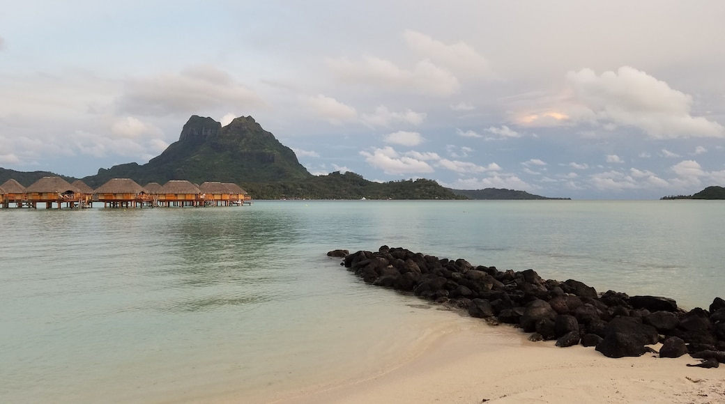 The view of Mt. Otemanu from our resort was amazingly beautiful!! Every picture shot that we took on the resort was picture perfect! It was dusk, and there were crabs crawling all along the rock ledge going into the water. The over water bungalows in the distance were everything that we had imagined to be with fishes swimming right underneath that we can view from inside. ❤#BeachTips