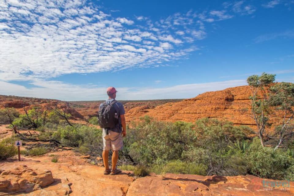 A man standing on a rocky outcrop with a backpack, overlooking a vast red desert landscape with sparse vegetation and a clear blue sky.