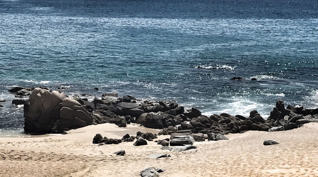 Great beach! Great service!