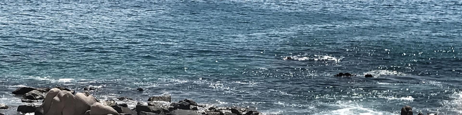 Great beach! Great service!