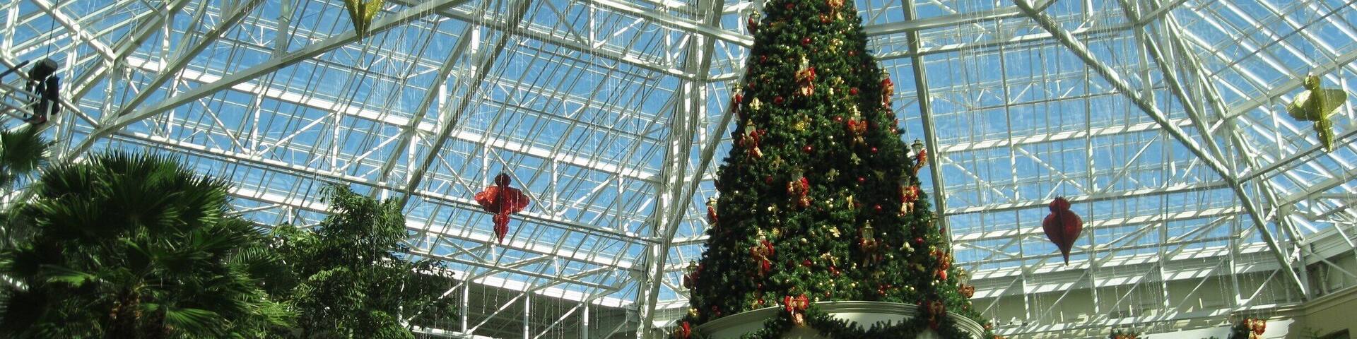 A large glass-domed structure with a decorated Christmas tree in the center.
