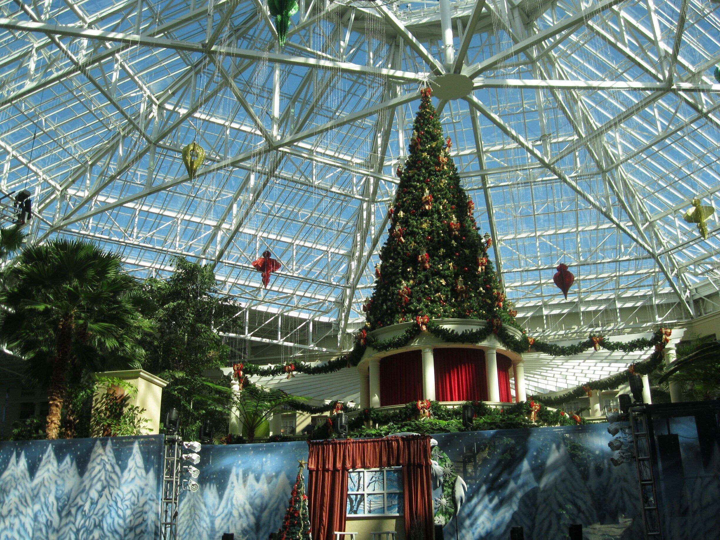 A large glass-domed structure with a decorated Christmas tree in the center.