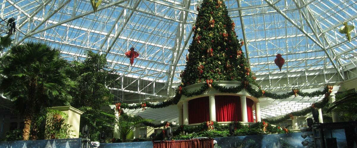 A large glass-domed structure with a decorated Christmas tree in the center.