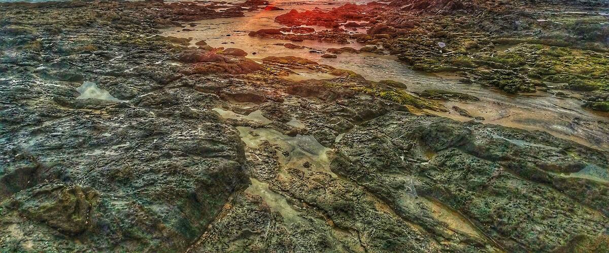 Amazing sunset in Costa Rica