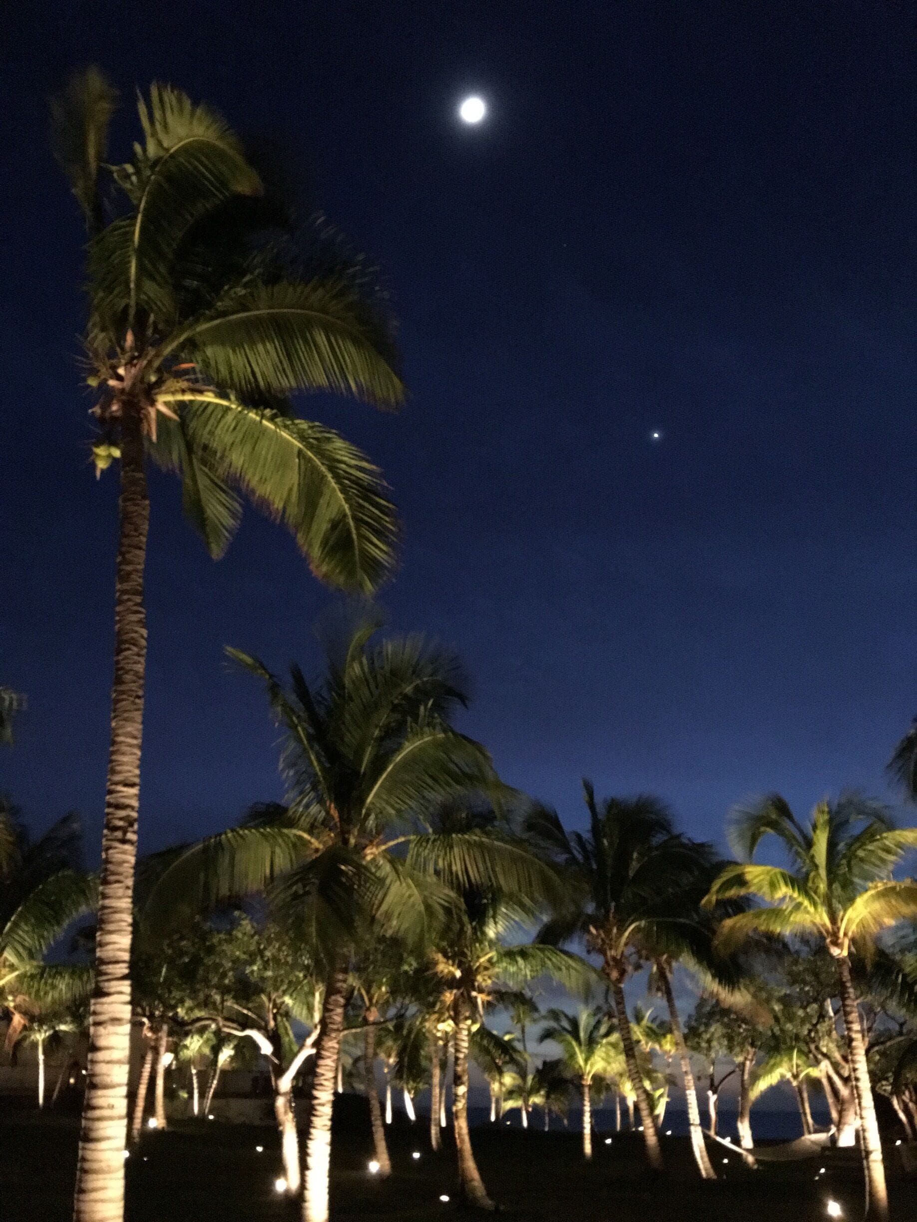 So cool at night and great dinner