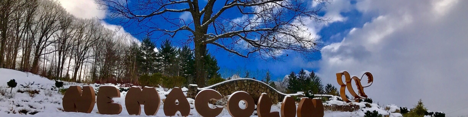 Nemacolin in January=cold and icy!