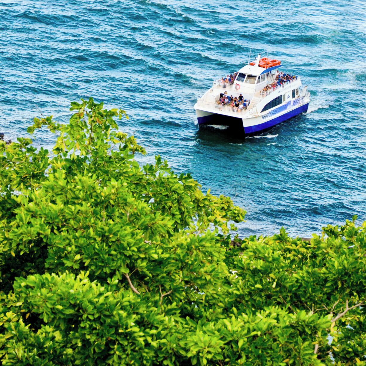 From the El Conquistador Resort you can take a funicular down to Marina Village and catch the catamaran that takes you to Palominos Island where you will enjoy an excellent beach.