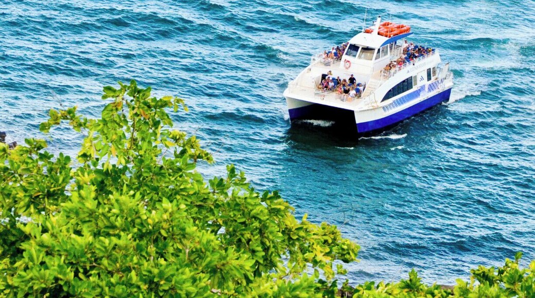 From the El Conquistador Resort you can take a funicular down to Marina Village and catch the catamaran that takes you to Palominos Island where you will enjoy an excellent beach.