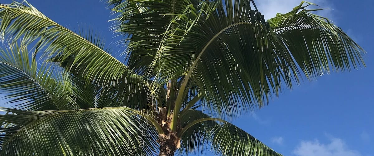 Bora Bora - the most breathtaking place I have been to date! #expensivebutworthit #beach #paradisefound #borabora