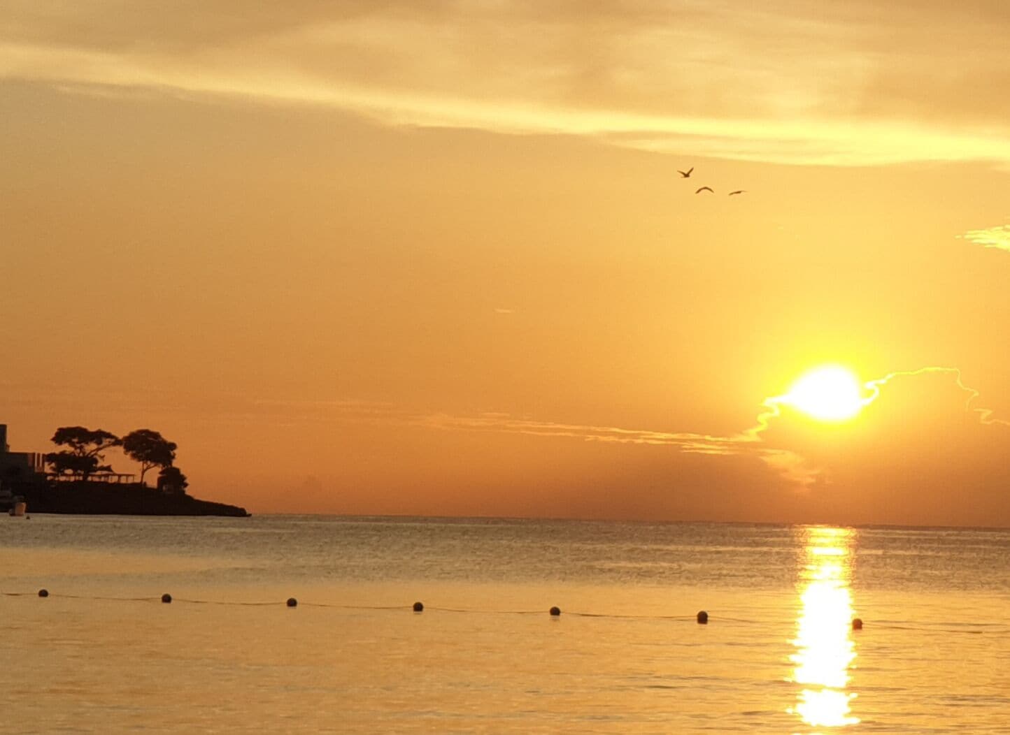 A sunset over a calm sea with a few buoys and a distant shoreline with trees.