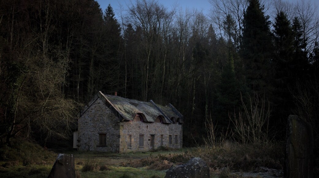 This cool little house is just at the entrance to Kinitty Forest