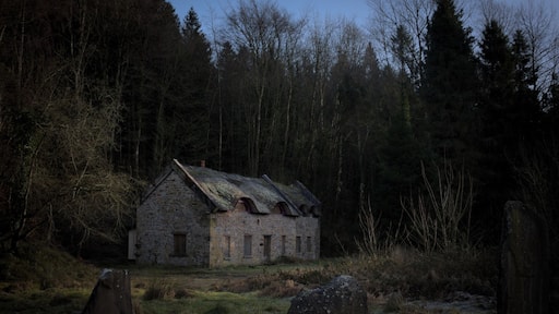 This cool little house is just at the entrance to Kinitty Forest
