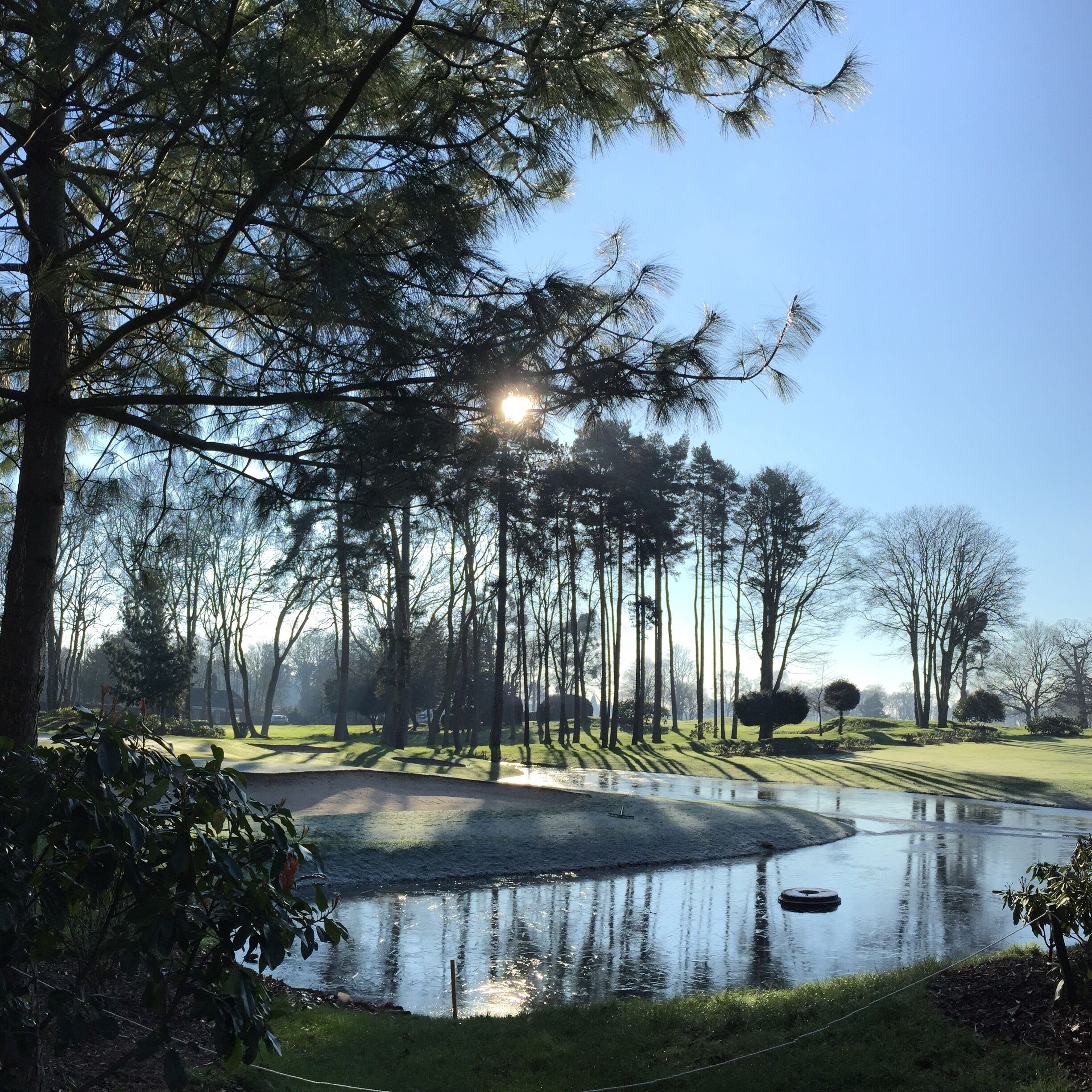 A serene park with a pond, trees, and a clear sky.