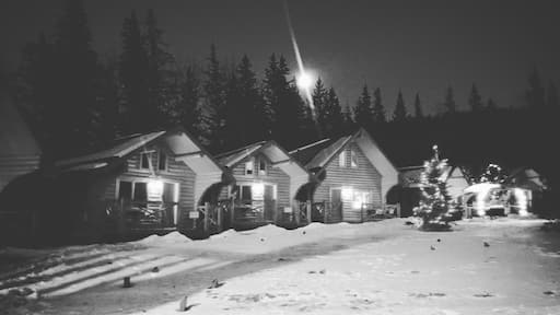 The cabins were nice but they really have to work in cleaning them better. I don't recommend this place. Not worth the price.