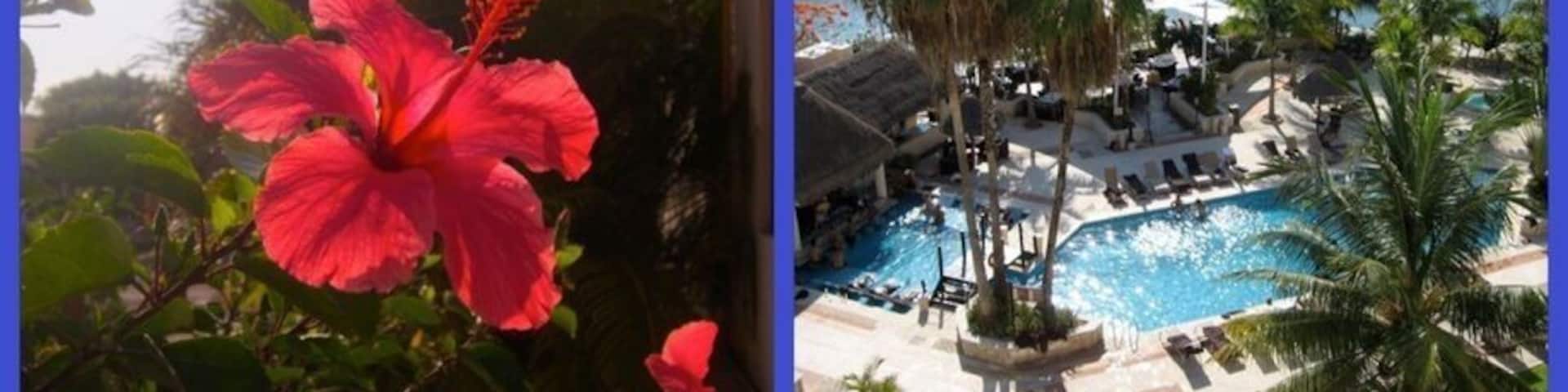 Awesome pools and swim up bars and great location. The staff was awesome, the beach bar with swings was awesome. There's scuba right there, first time diving off a boat, scary