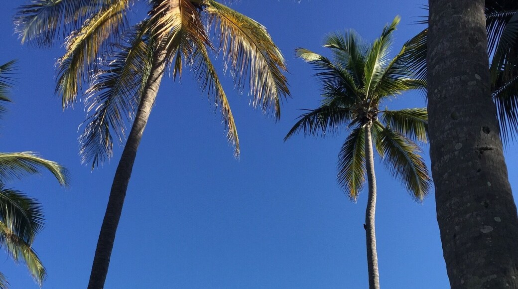 #blue
Pool, sea and sky in a symphony of blue, at Casa Bonita, Barahona, Dominican Republic.