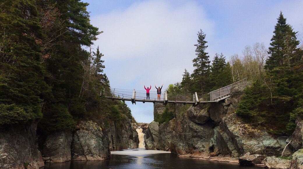 Park at the Liscomb lodge and hike the Liscomb River trail to see salmon pools and suspension bridges!