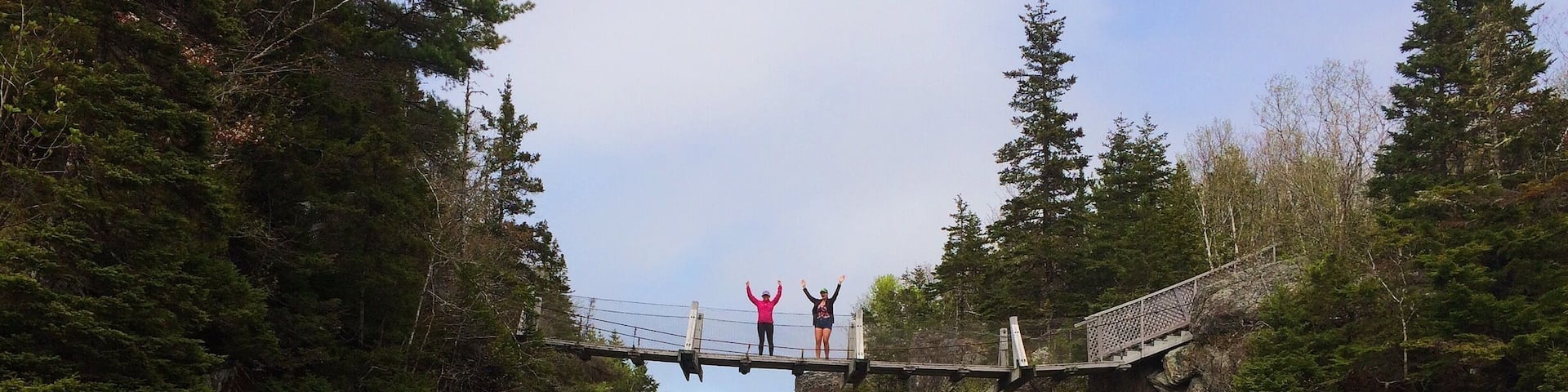 Park at the Liscomb lodge and hike the Liscomb River trail to see salmon pools and suspension bridges!