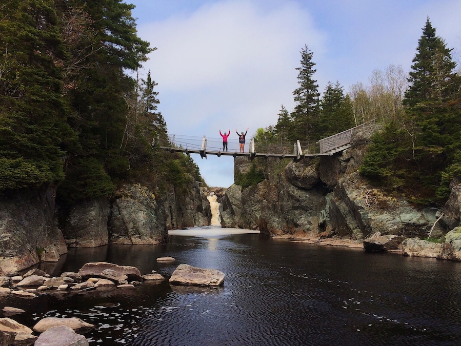 Park at the Liscomb lodge and hike the Liscomb River trail to see salmon pools and suspension bridges!