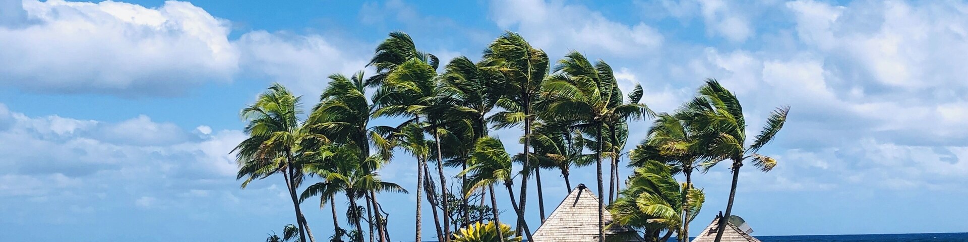 Wind--Clouds--Water--Sky and Wicked Walu @Warwick Fiji