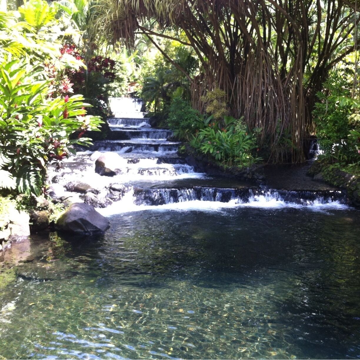 This is the stream that runs through Tabacon. The water is 100 degrees and there are lounging pools and waterfalls in many spots. An amazing spot to spend the day. 