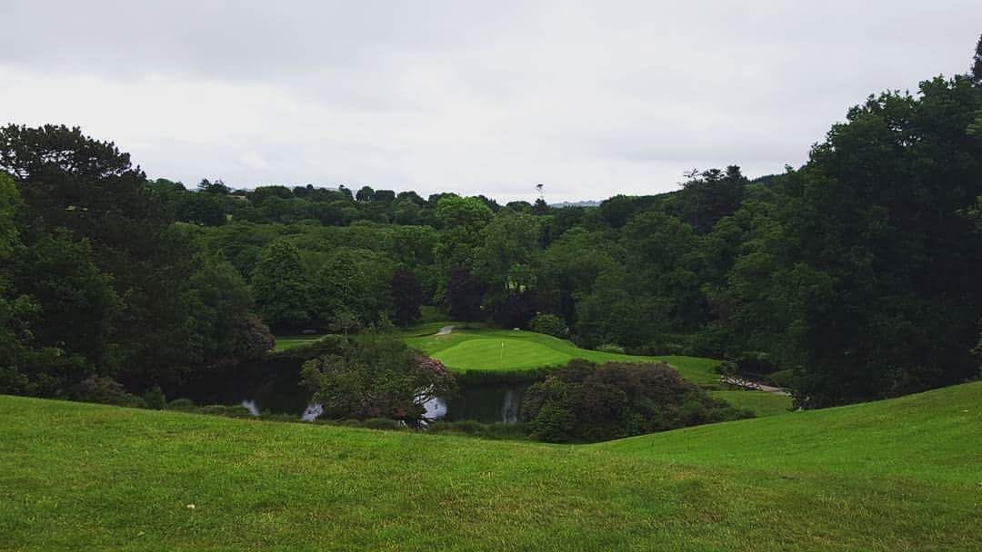 A lush green golf course with a pond and trees.