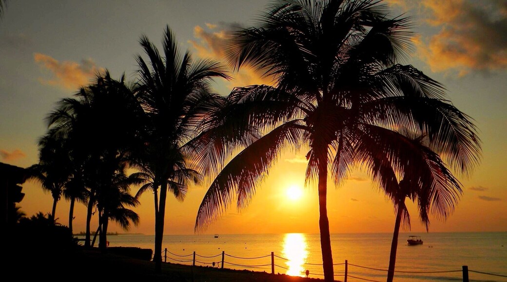 Beautiful tropical sunrise in Playa Del Carmen.
#BeachBound