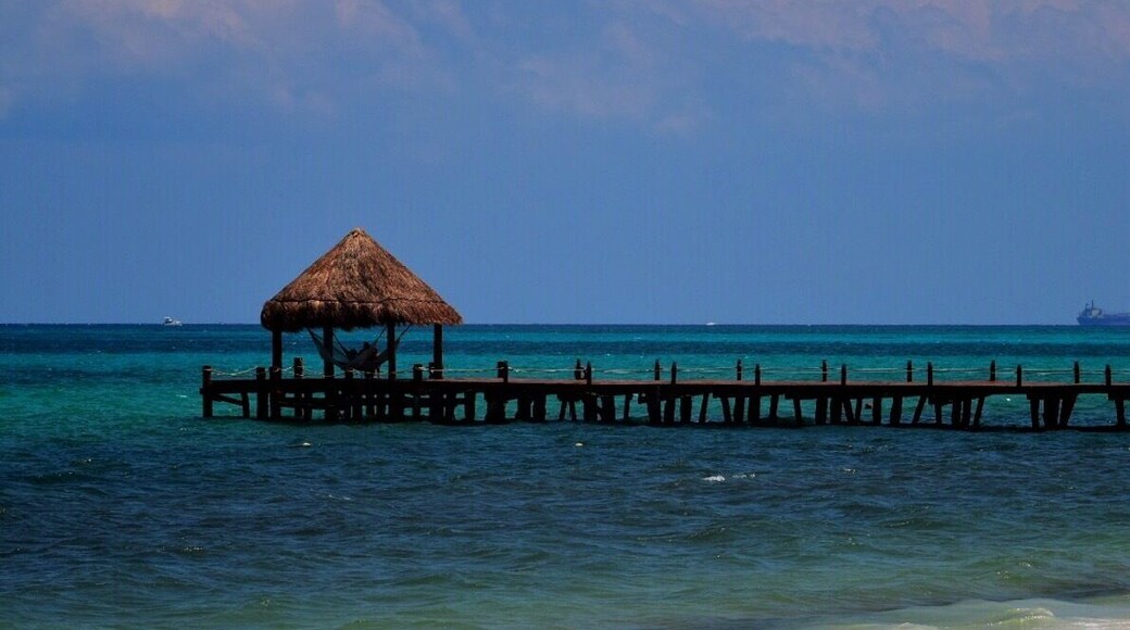 Looks like a great place for an afternoon siesta
#BestOf5