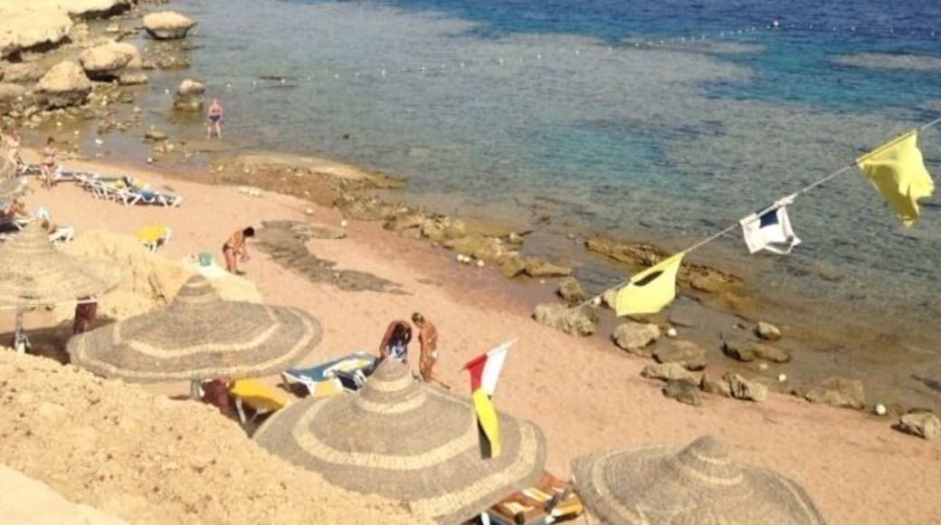 Private beach at Sharks Bay #sharmelsheik #egypt #beach