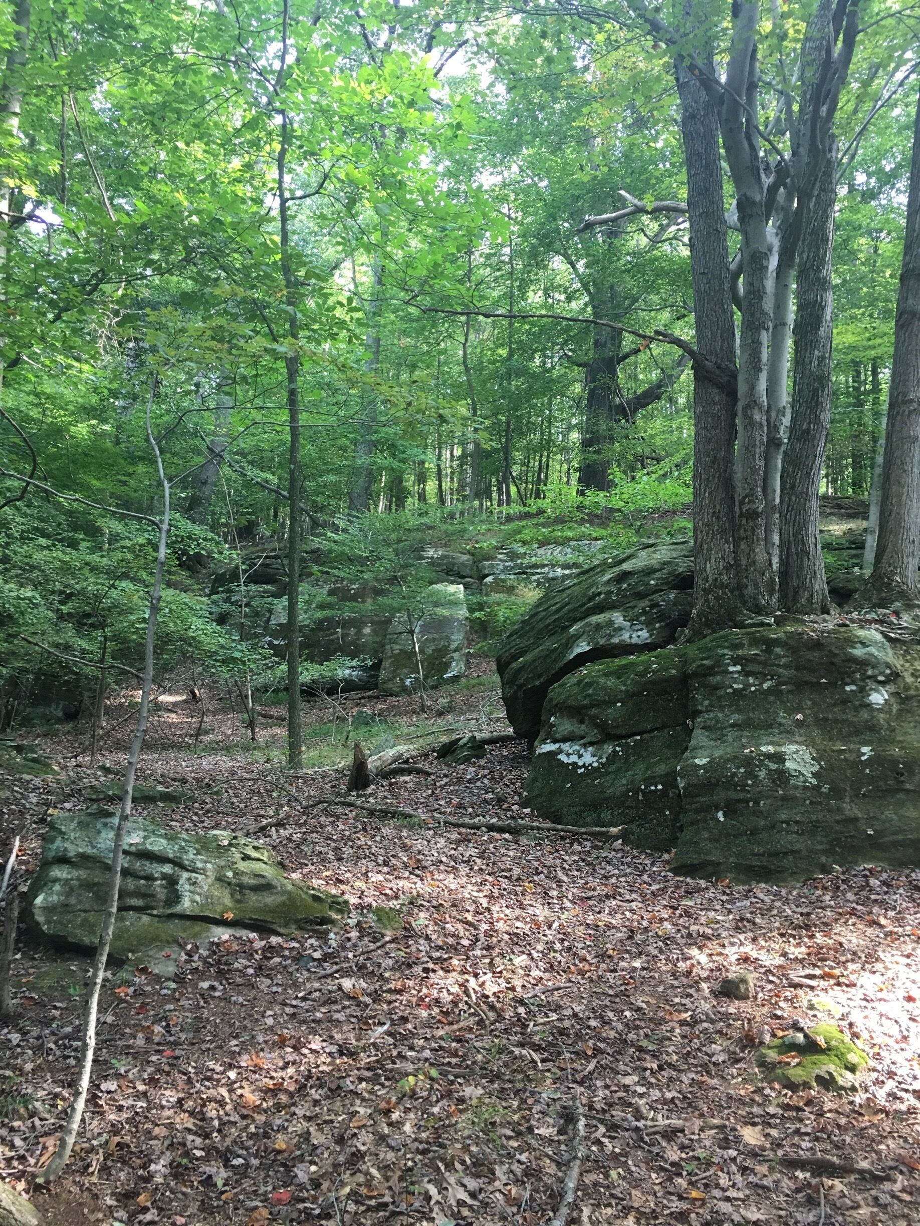 Great hiking trails and  beautiful grounds all around the lodge!