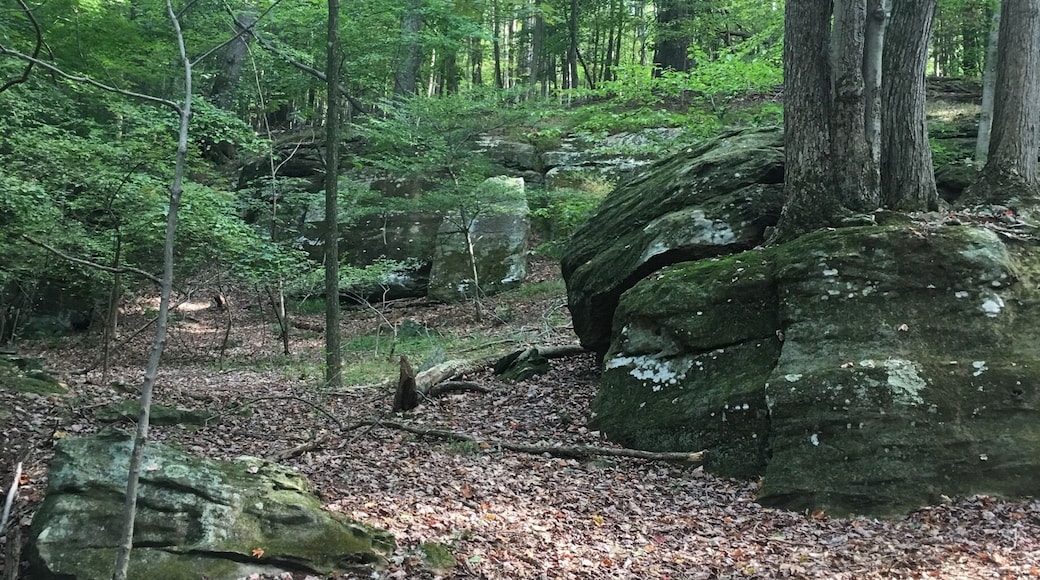 Great hiking trails and beautiful grounds all around the lodge!