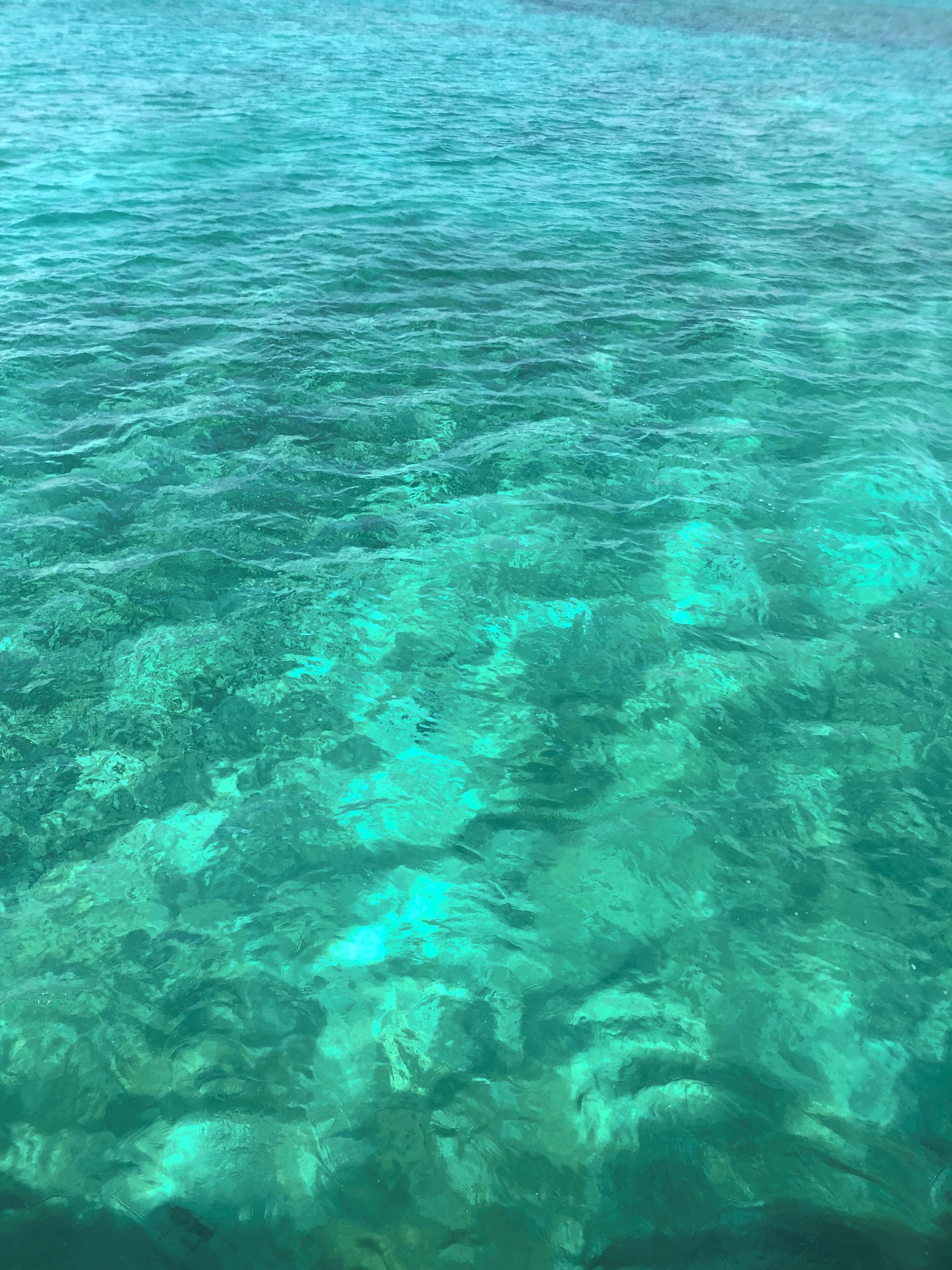 Crazy for blue waters