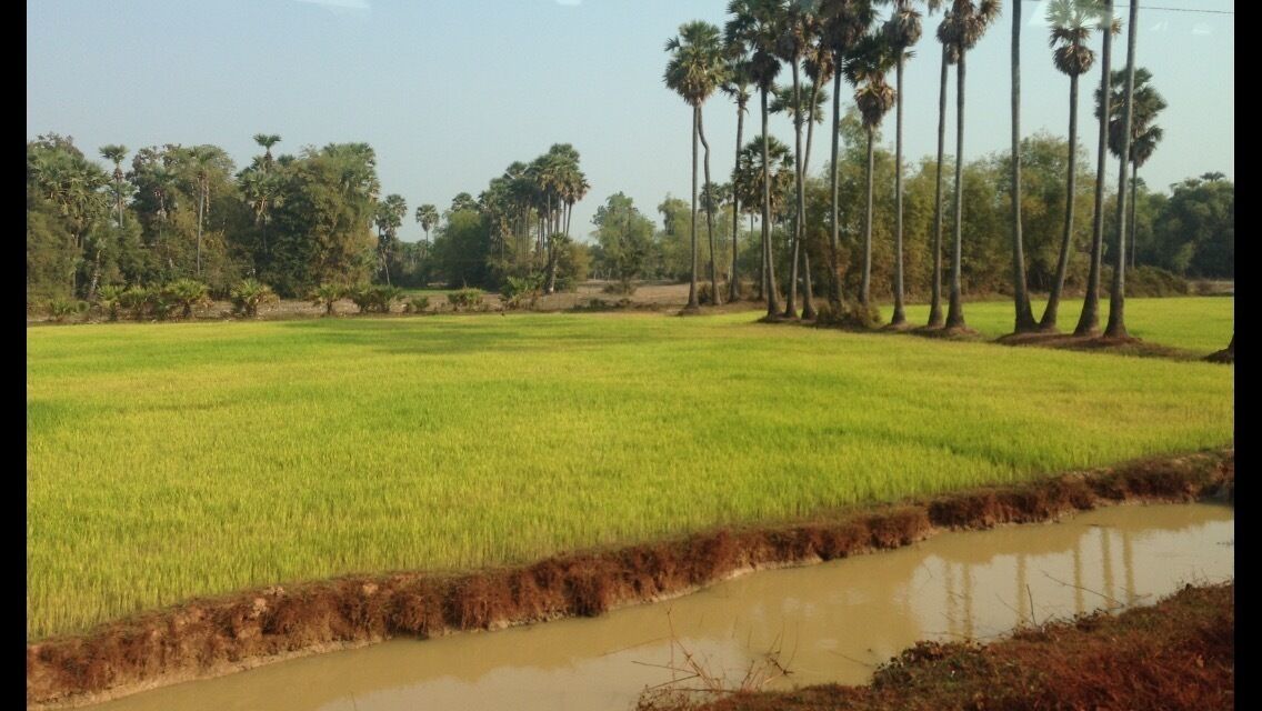 Not sure exactly where this was taken but was somewhere between Bangkok an Siem Reap