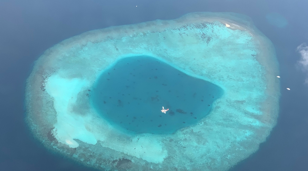 When traveling to the Maldives - don’t forget to look out the window at all times for amazing atolls and passing planes. #LifeAtExpedia