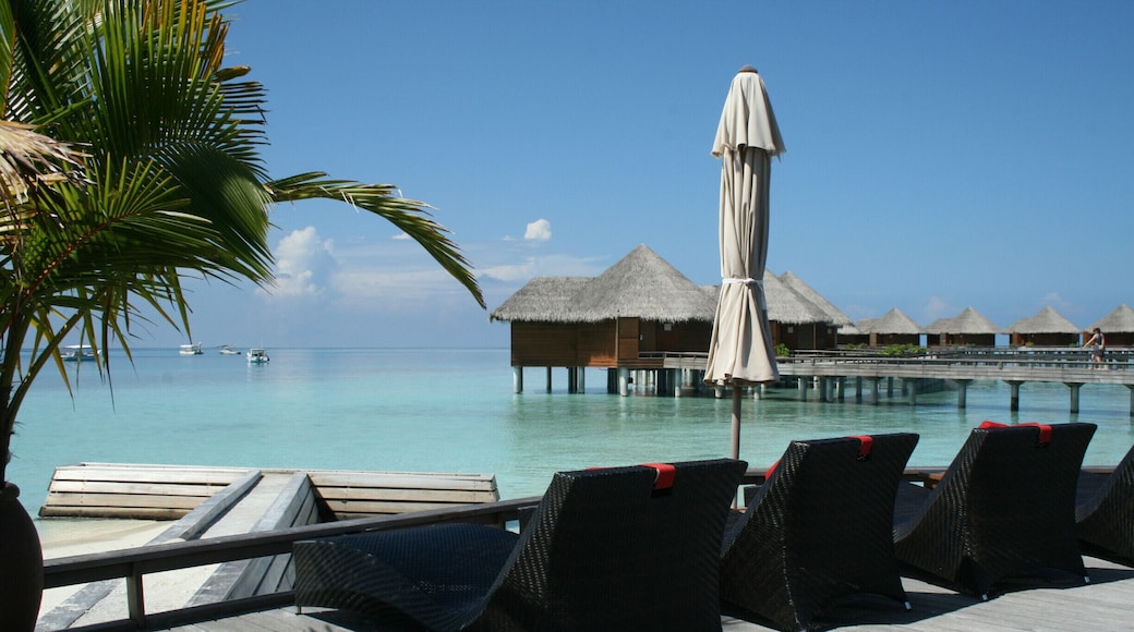 You cannot beat The Maldives for photos that make you want to be there right now! This was taken at Baros, a small, quiet island ideally suited to honeymooners and for romantic escapes.