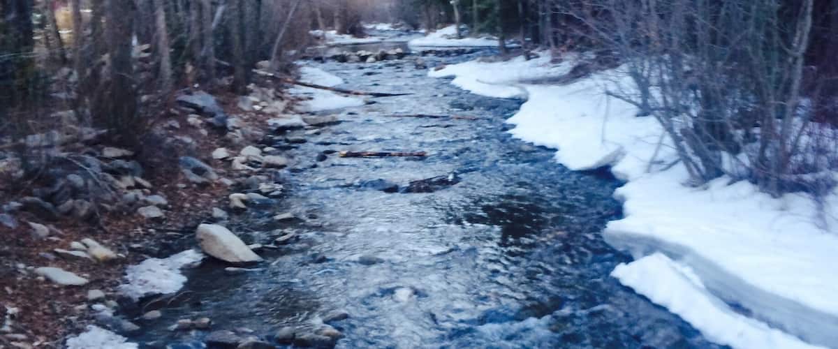 A snow-covered stream with rocks and trees.