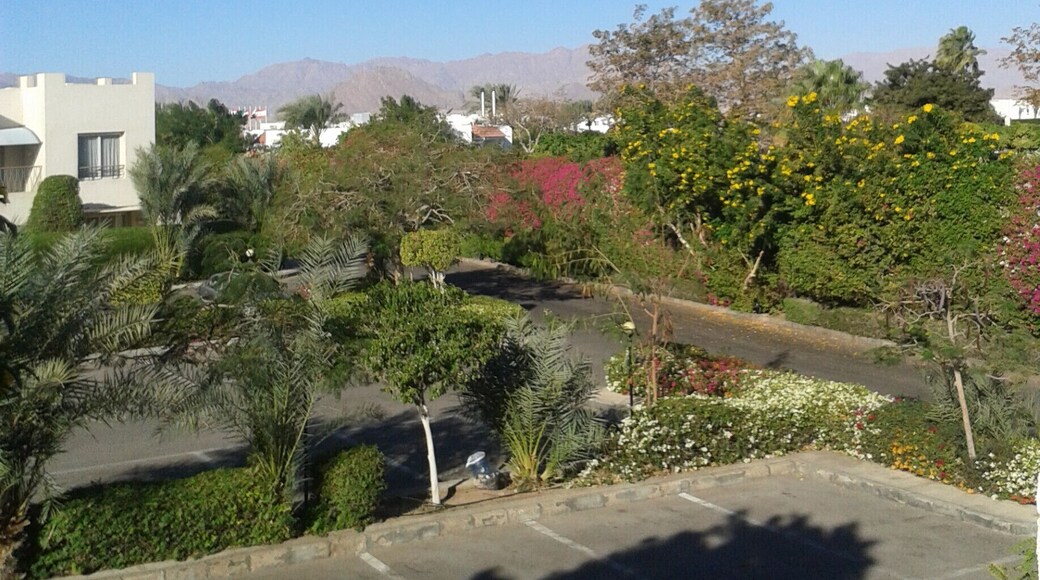 It's the best place for relaxing and enjoy with the sun and wonderful viewer