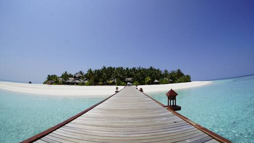 Arriving to this island after 24 hours of traveling was such a treat. #green