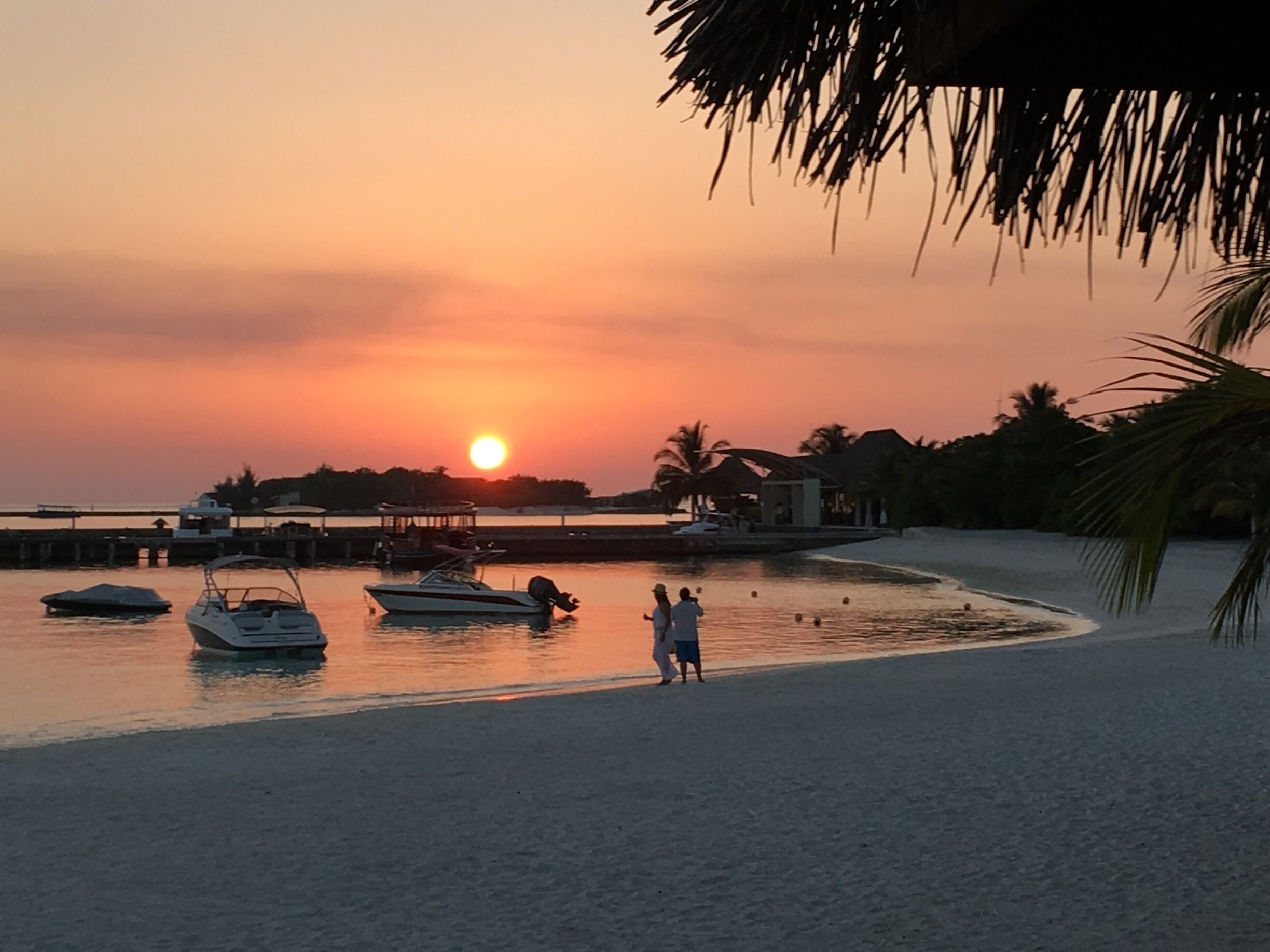 Wandering around the grounds of Blarney Castle. #lifeatexpedia