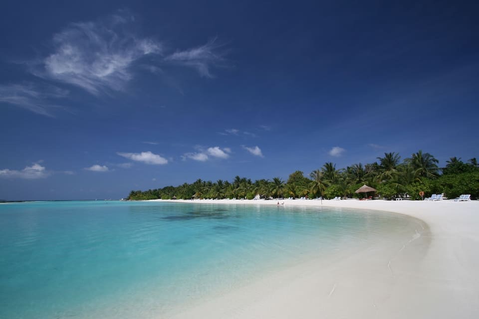 A beach with clear turquoise water, white sand, and palm trees under a blue sky.