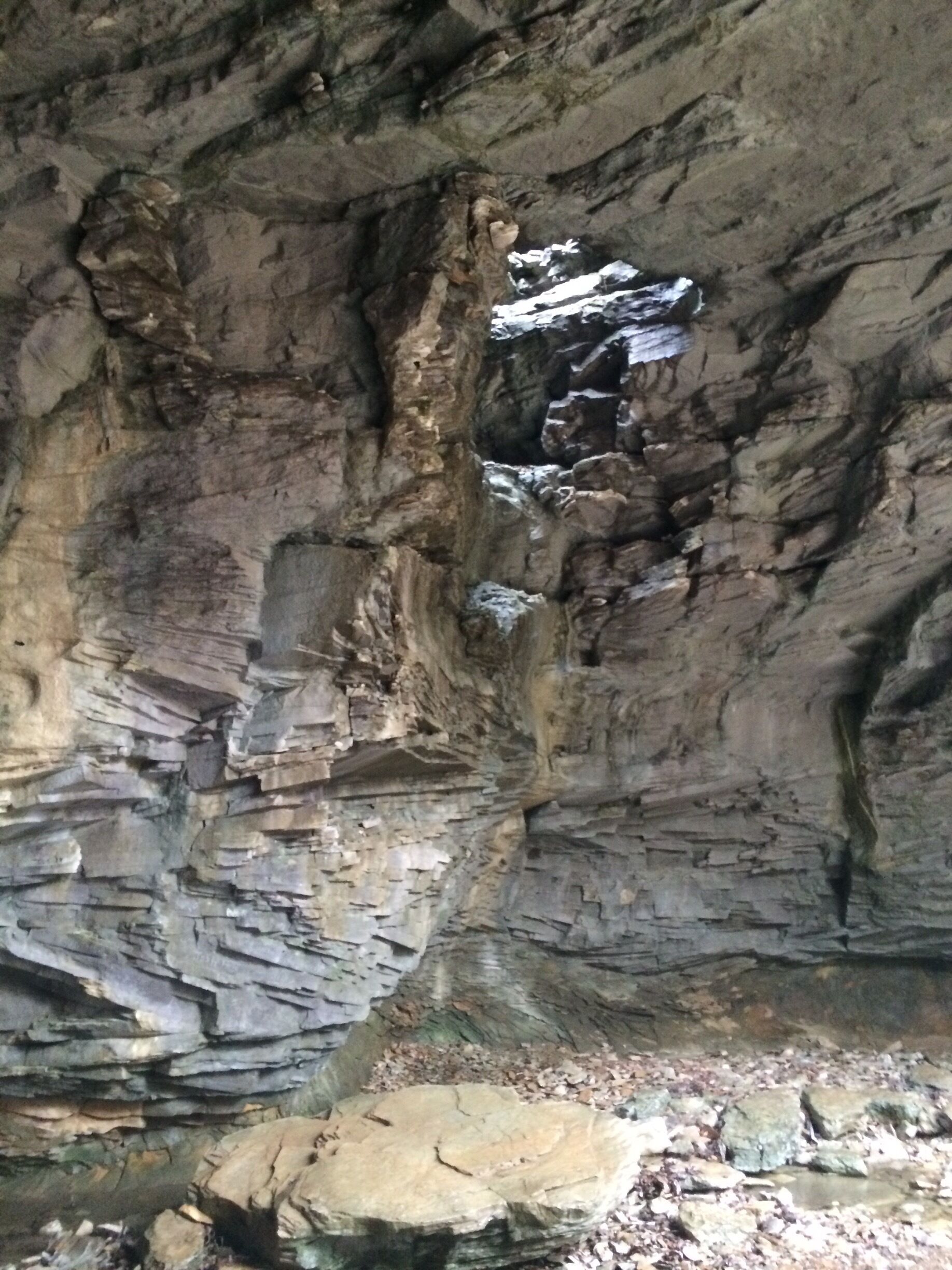 Didn't know this park existed till I went on the hike. Lovely natural caves, bridges, sinkholes and cliffs. #hiking #kentucky
