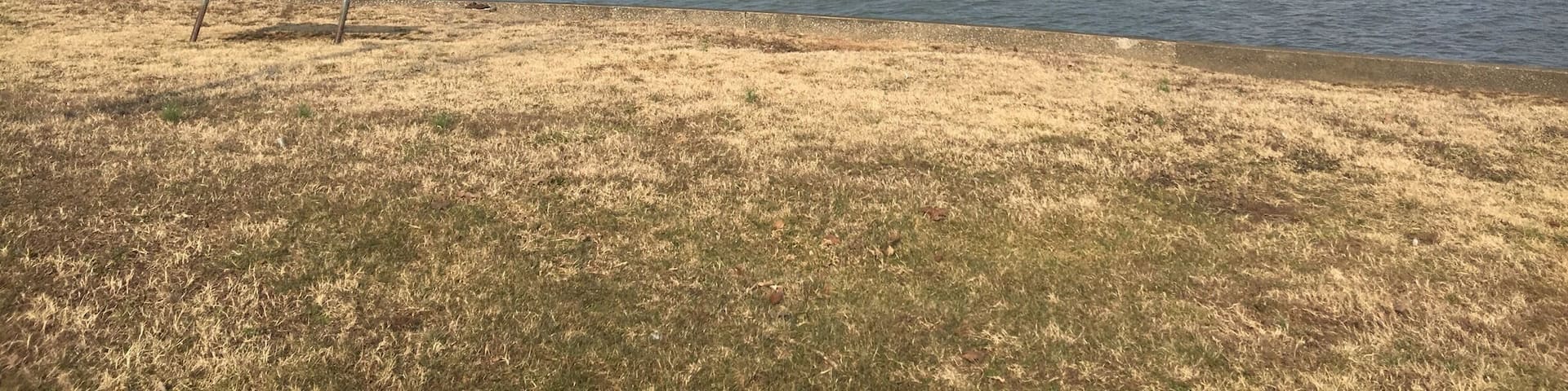 Best place for fishing. Take your dog for a walk it'll love it. Spot the bridge in the picture, drive on it is amazing.