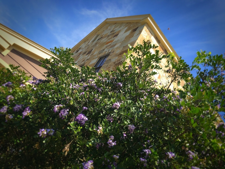 A beautiful warm early spring in the Texas Hill Country. The Hyatt Regency Lost Pines is one of our favorite weekend getaways. This weekend my family brought me up to celebrate my birthday. Great food, exemplary hospitality and a float on the lazy river.