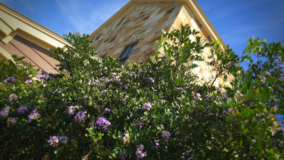 A beautiful warm early spring in the Texas Hill Country. The Hyatt Regency Lost Pines is one of our favorite weekend getaways. This weekend my family brought me up to celebrate my birthday. Great food, exemplary hospitality and a float on the lazy river.