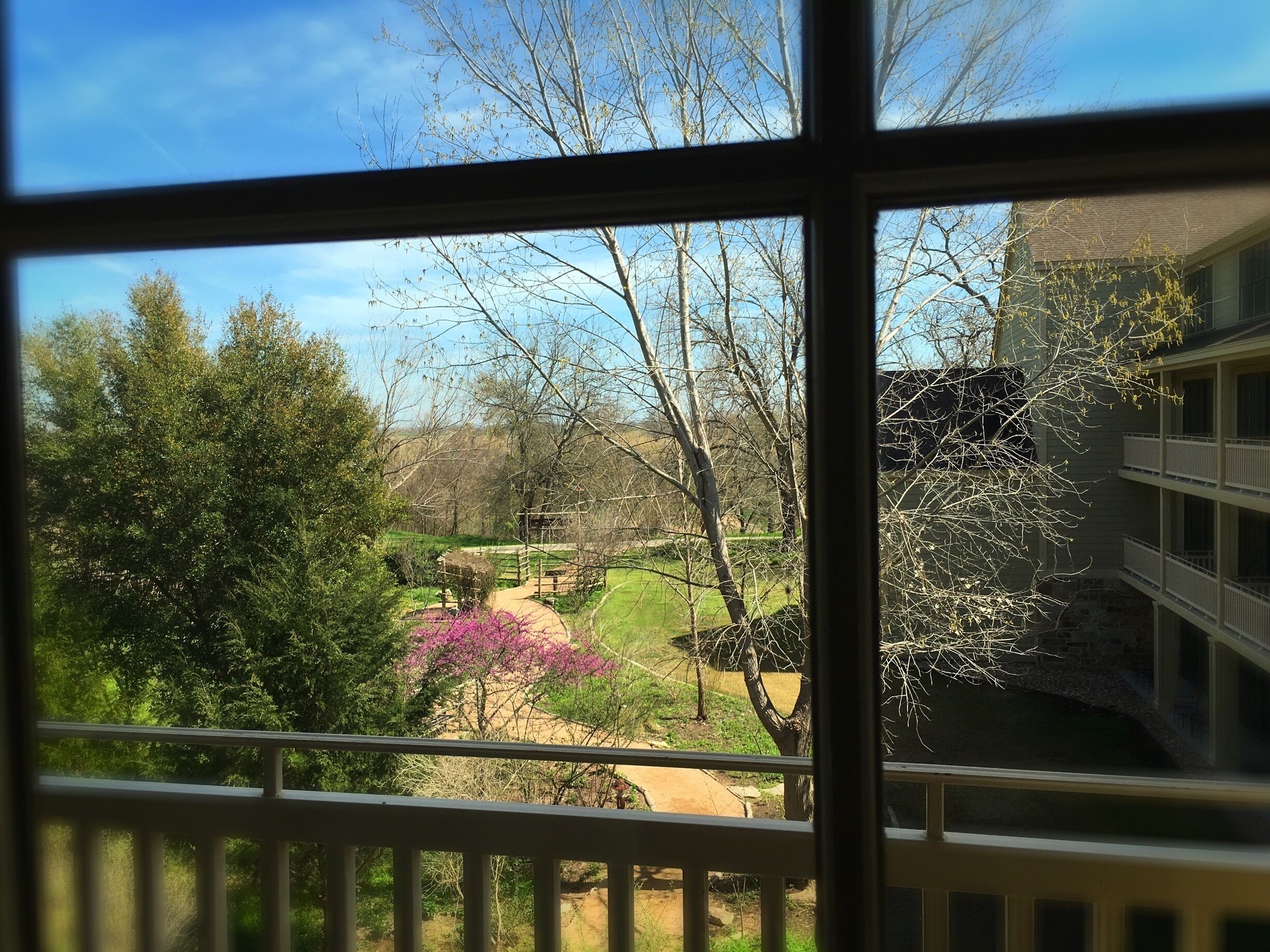  Room with a view #3404. A beautiful warm early spring in the Texas Hill Country. The lavender and wild flowers are in bloom here along the banks of the Colorado River.