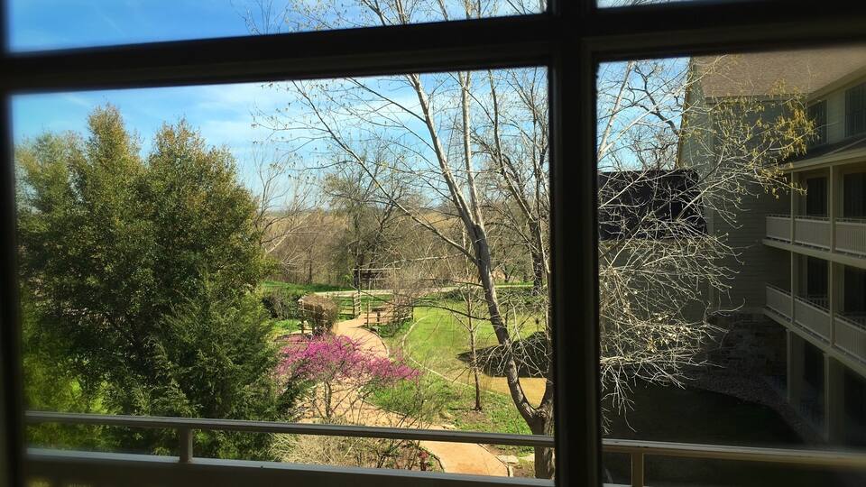 Room with a view #3404. A beautiful warm early spring in the Texas Hill Country. The lavender and wild flowers are in bloom here along the banks of the Colorado River.