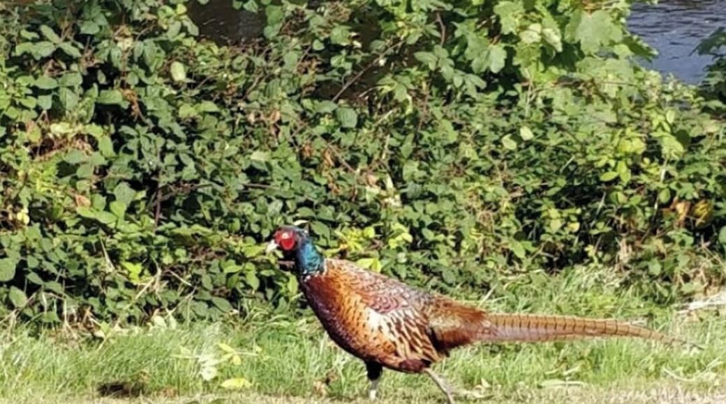 Brisk Walk in the Sun 🤫