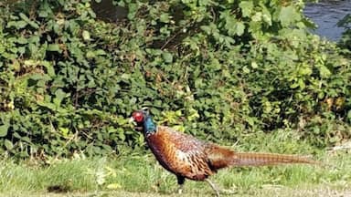 Brisk Walk in the Sun 🤫